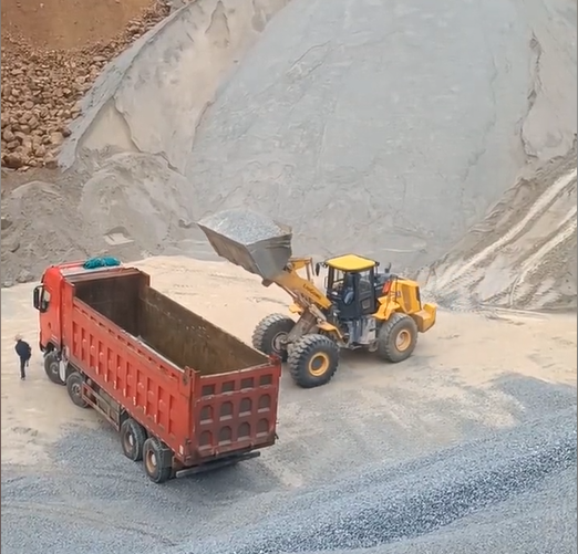 Loader 955F