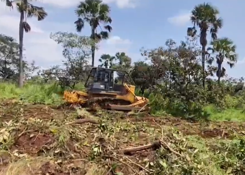 220 HP Forest Bulldo